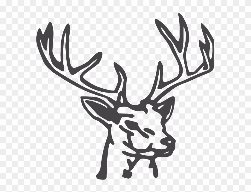 Jpg Library Stock Drawing Deer Monster - Jpg Library Stock Drawing Deer Monster #1521966
