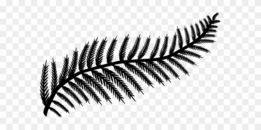 Leaf Fern Frond Silhouette Drawing - Leaf Fern Frond Silhouette Drawing #1522130