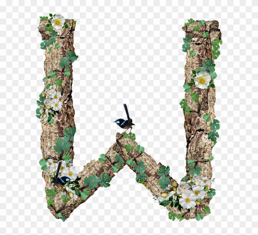 Alphabet, Letter, W, Rustic, Timber, Bark - Alphabet, Letter, W, Rustic, Timber, Bark #1522270