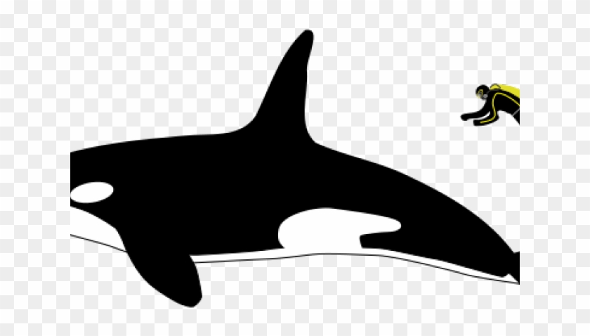 Flippers Clipart Whale Dolphin - Flippers Clipart Whale Dolphin #1522508