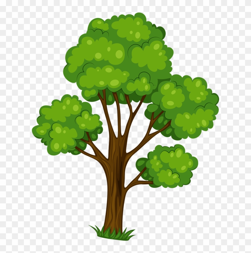 Фотки Groene Bomen, Lapwerk Embutido, Foto Boom, Plakboek, - Фотки Groene Bomen, Lapwerk Embutido, Foto Boom, Plakboek, #1522521