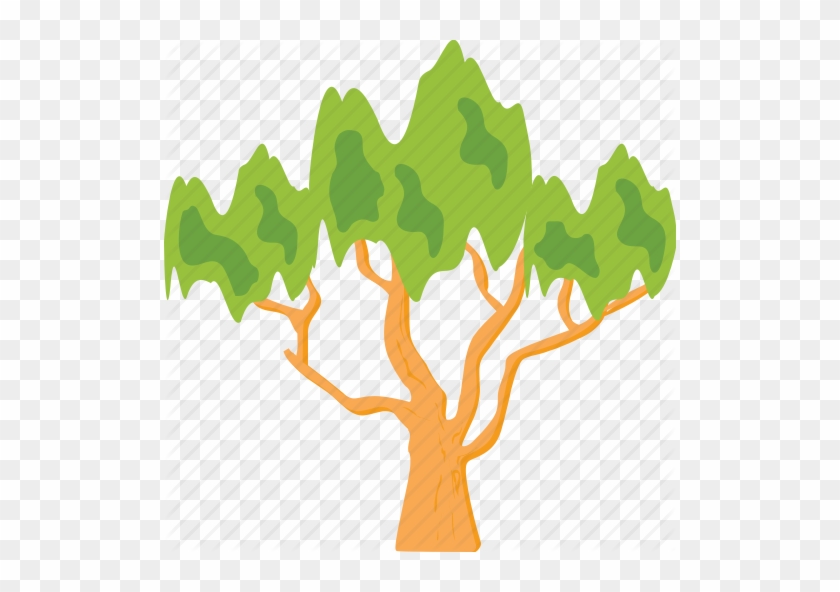 Evergreen Foliage Greenery Nature Icon - Evergreen Foliage Greenery Nature Icon #1523193