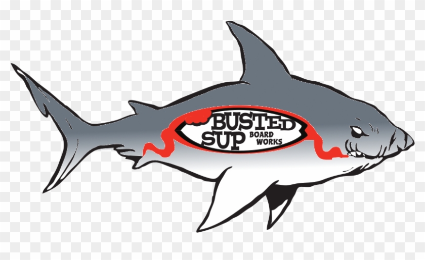 Show Us A Board Without A Few Dings, And We'll Show - Show Us A Board Without A Few Dings, And We'll Show #1523199