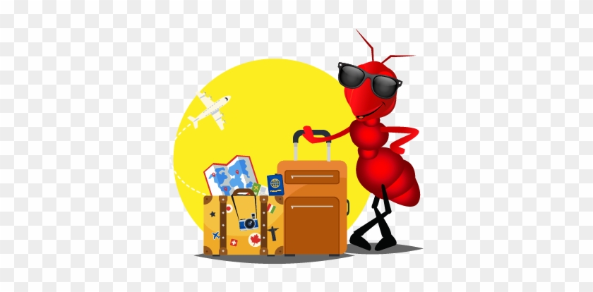 Better Compare Better Insurance - Better Compare Better Insurance #1523792