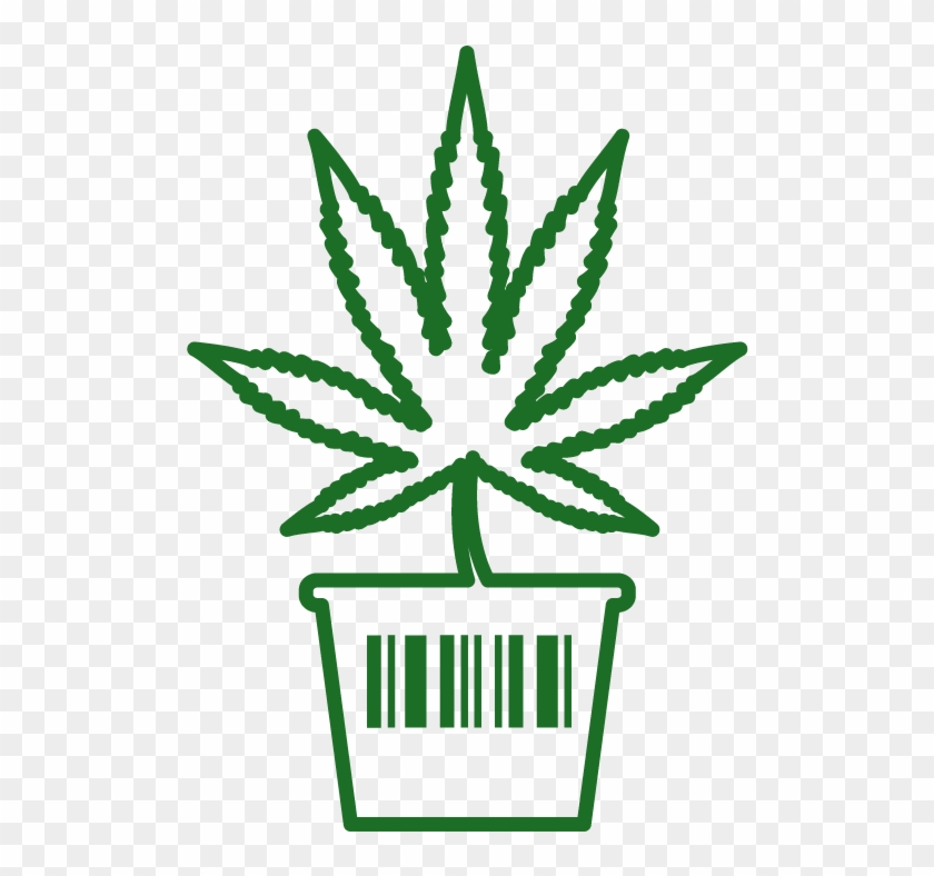Marijuana Seed2sale Icons1 - Marijuana Seed2sale Icons1 - Free Transparent ...