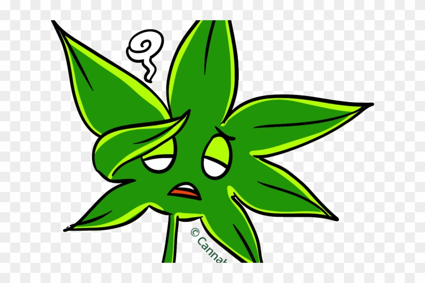 Marijuana Clipart Daun - Marijuana Clipart Daun #1524427