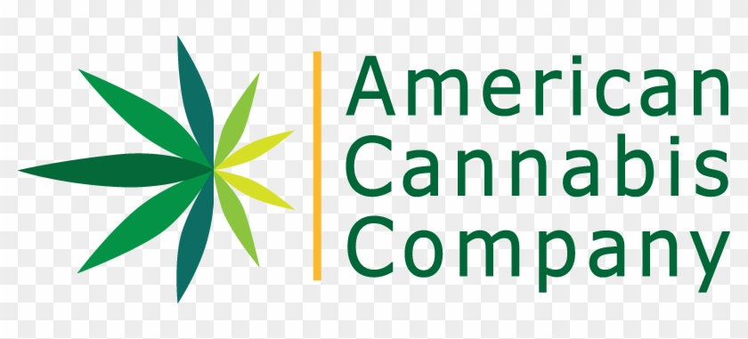 The Team At American Cannabis Company Is Considered - The Team At American Cannabis Company Is Considered #1524432
