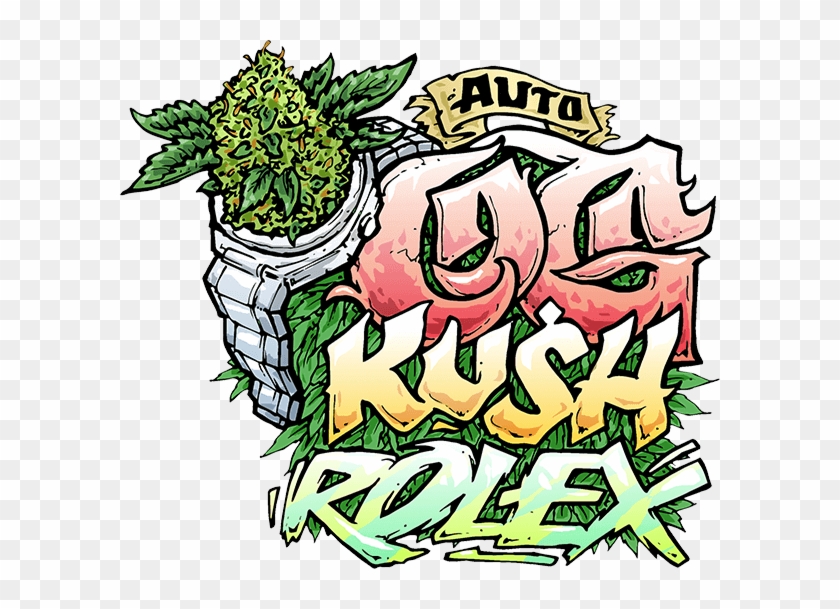 Og Kush Has A Veritable Feast Of Aromas And Flavours, - Og Kush Has A Veritable Feast Of Aromas And Flavours, #1524450