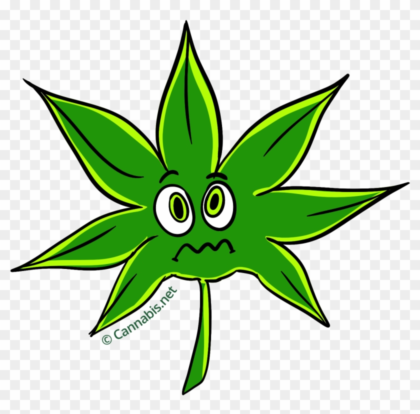 Marijuana Clipart Daun - Marijuana Clipart Daun #1524457