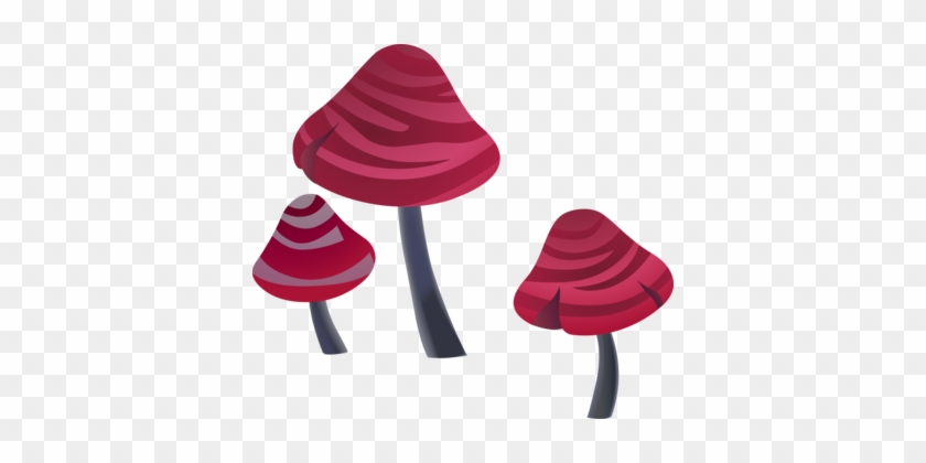 Amanita Muscaria Fungus Edible Mushroom Computer Icons - Amanita Muscaria Fungus Edible Mushroom Computer Icons #1524880