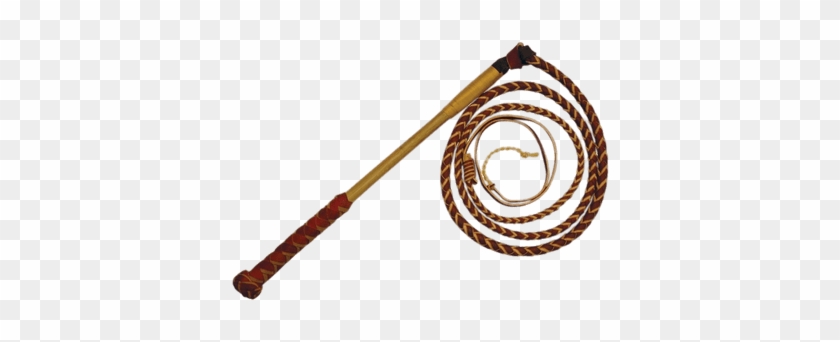 Whip With Long Handle - Whip With Long Handle #1524926