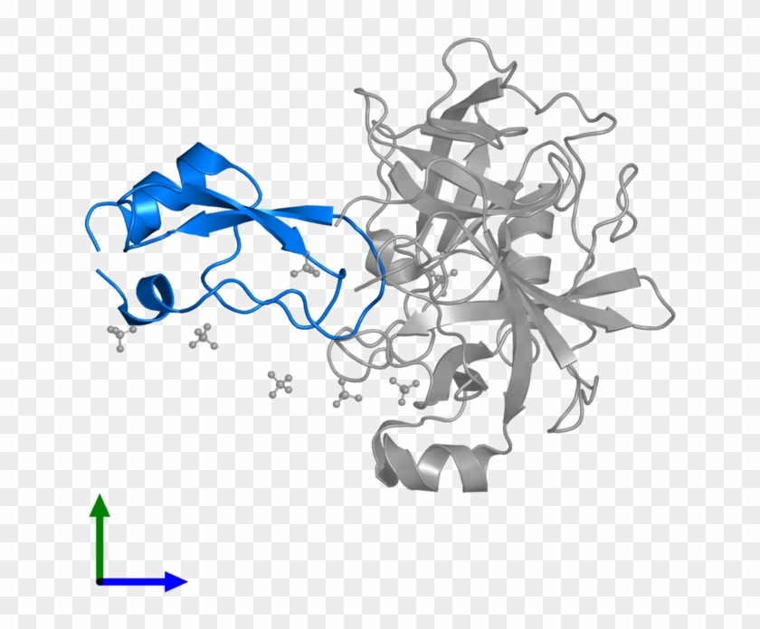 <div Class='caption-body'>pdb Entry 1t8o Contains 1 - <div Class='caption-body'>pdb Entry 1t8o Contains 1 #1524946