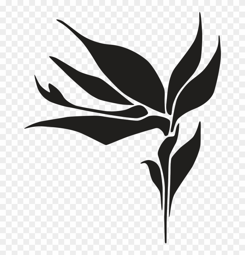 Bird Of Paradise Drawing - Bird Of Paradise Drawing #1524990