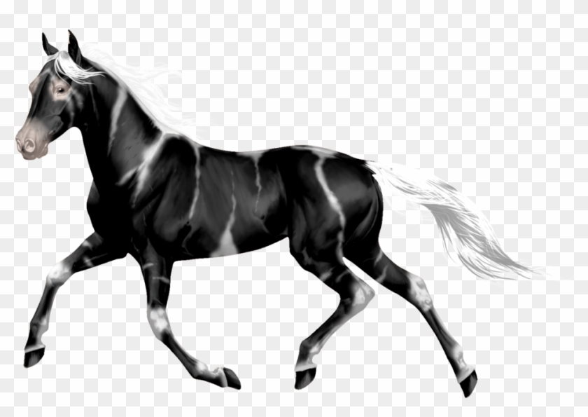 Transparent Horses Wild Horse - Transparent Horses Wild Horse #1525175