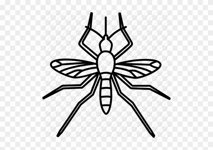 Insects Outlines By Jisun Park Disease Midge - Insects Outlines By Jisun Park Disease Midge #1525294