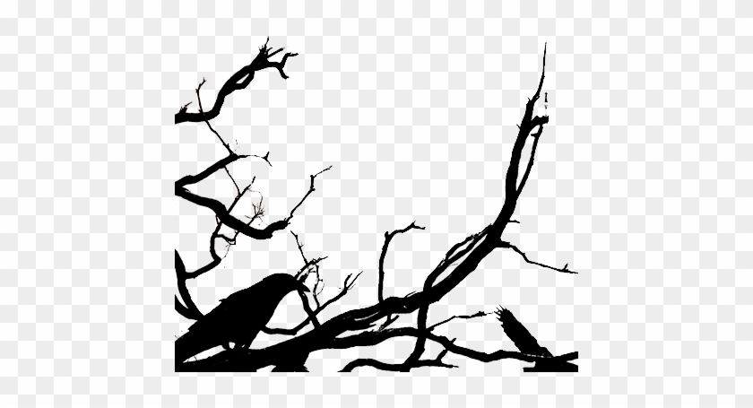 Sleepy Hollow - - Sleepy Hollow - #1525623