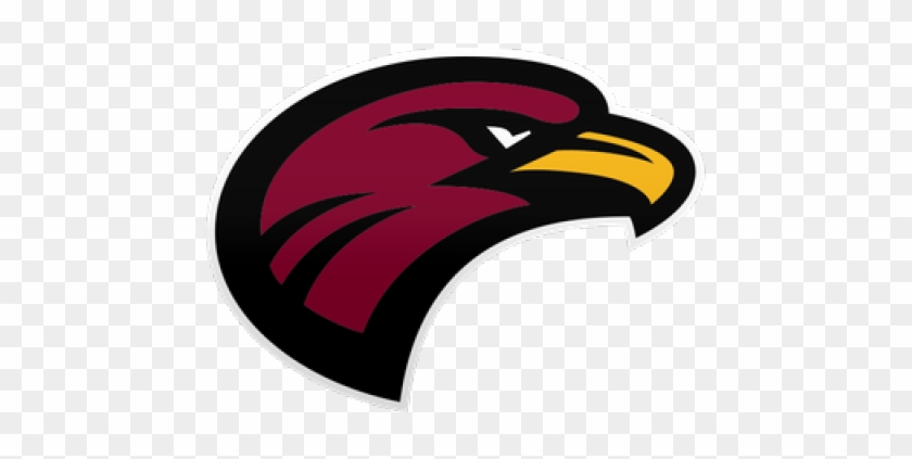 Harris Hawk Clipart Florida - Harris Hawk Clipart Florida #1525985