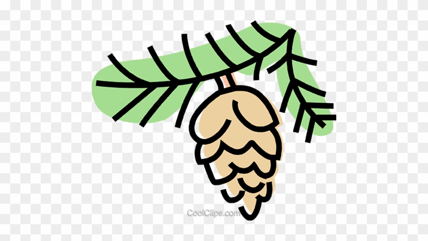 Pinecone Royalty Free Vector Clip Art Illustration - Pinecone Royalty Free Vector Clip Art Illustration #1526008