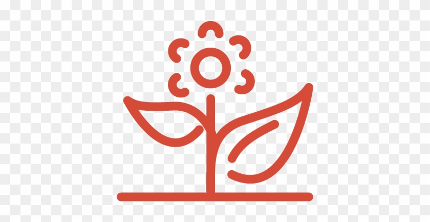 Ramar Foods International - Ramar Foods International #1526635