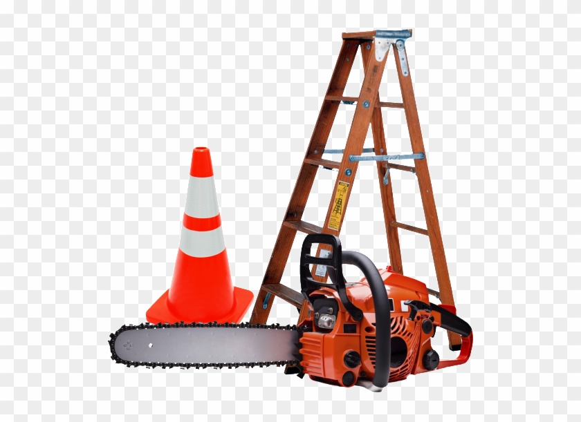 Storm Cleanup - Storm Cleanup #1526786