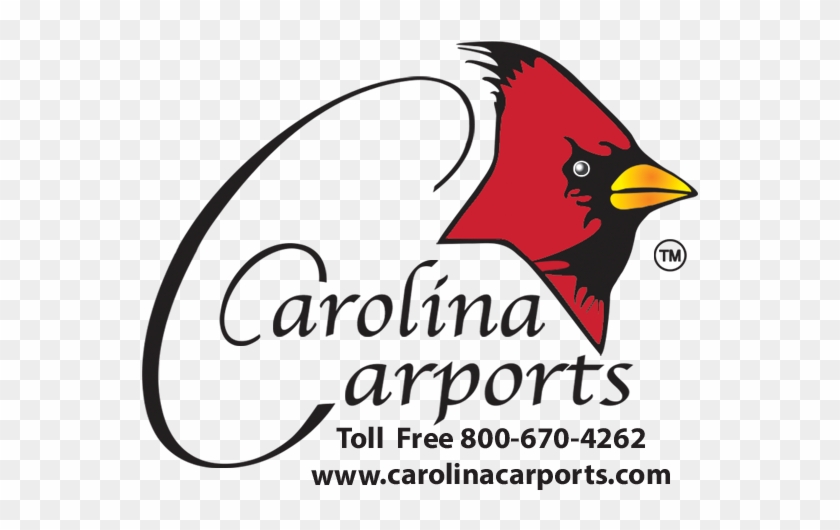 Vendor Info - Vendor Info #1526787