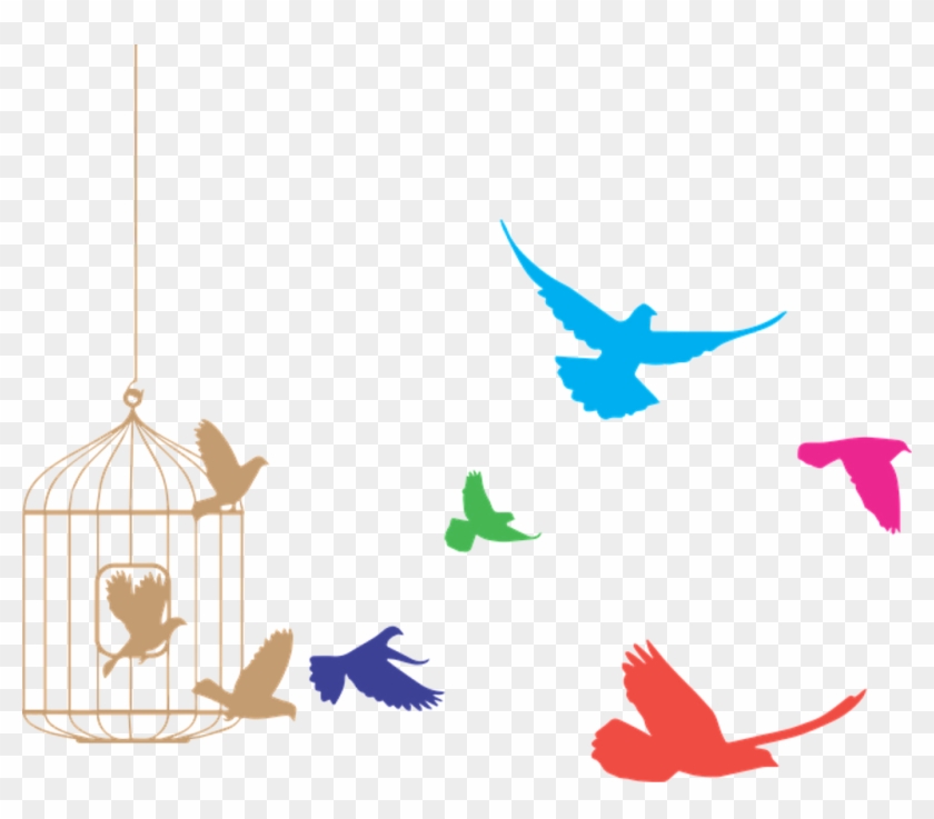Free Freedom Birds Prison Animal Ftestickers - Free Freedom Birds Prison Animal Ftestickers #1526819