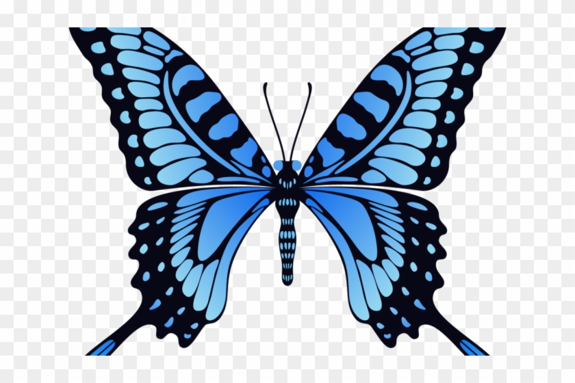 Fly Clipart Transparent - Fly Clipart Transparent #1526960