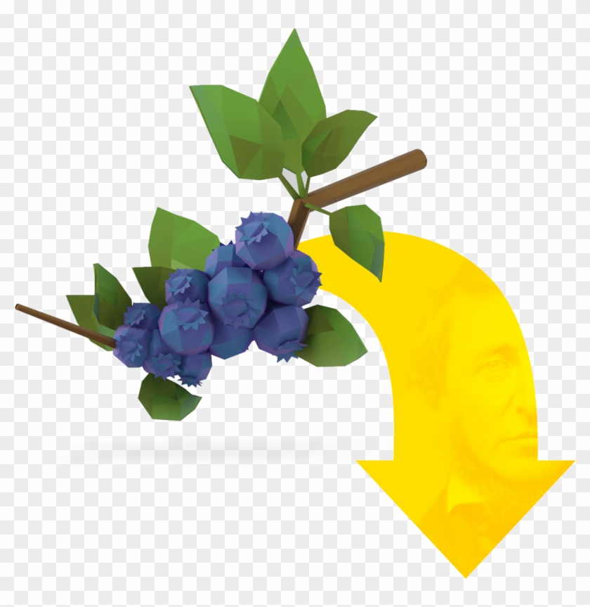 Scroll To Explore The Connections Between Thoreau, - Scroll To Explore The Connections Between Thoreau, #1527219