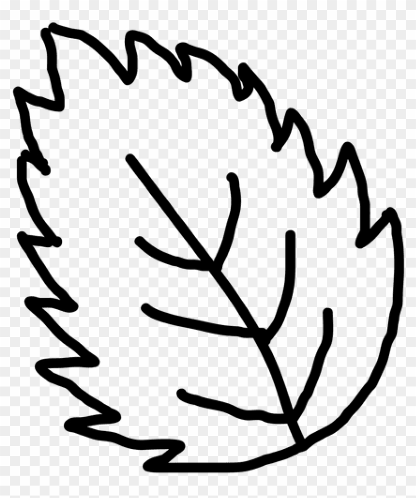 Leaf Outline Images Hand Drawn Leaf Outline Transparent - Leaf Outline Images Hand Drawn Leaf Outline Transparent #1527223