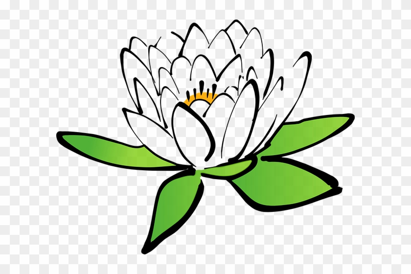 Lotus, Flower, Water Lily - Lotus, Flower, Water Lily #1527250