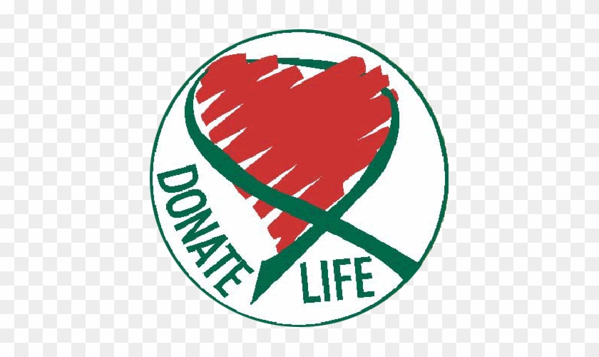 Check Our Body Donation Program - Check Our Body Donation Program #1527377