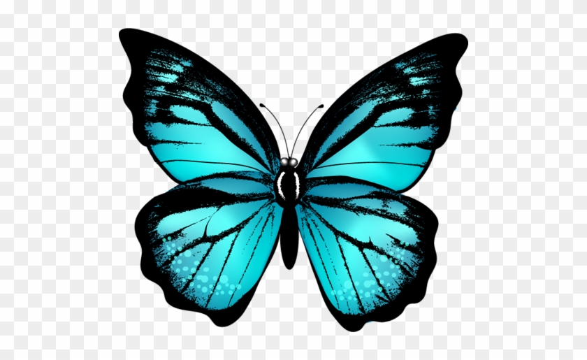 Butterfly Live, Wood Butterfly, Butterfly Project, - Butterfly Live, Wood Butterfly, Butterfly Project, #1527667