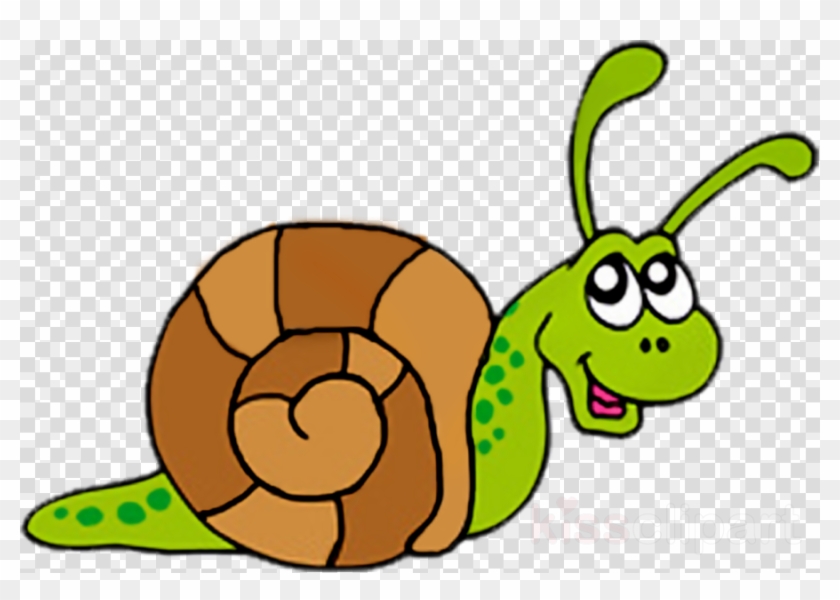 Snail Clip Art Clipart Snail Clip Art - Snail Clip Art Clipart Snail Clip Art #1527716