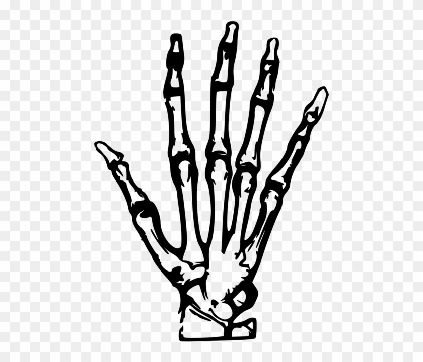 Skeleton Clipart Hand Pointing - Skeleton Clipart Hand Pointing #1527725
