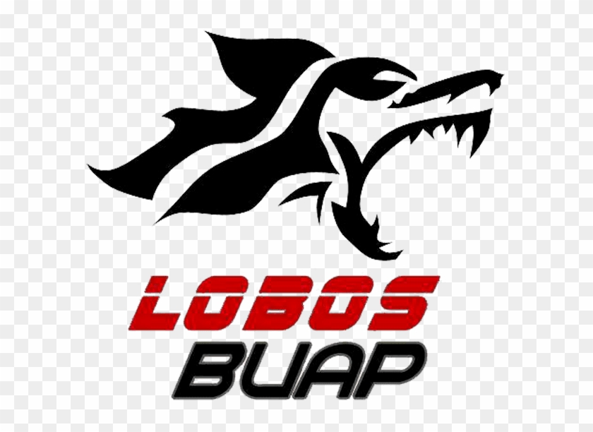Lobos Buap Lobos Buap Conadeipfba - Lobos Buap Lobos Buap Conadeipfba #1528037