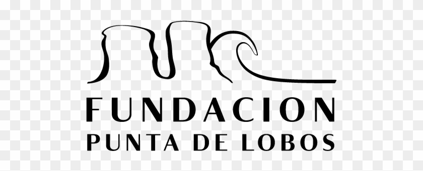 Fundación Punta De Lobos - Fundación Punta De Lobos #1528087