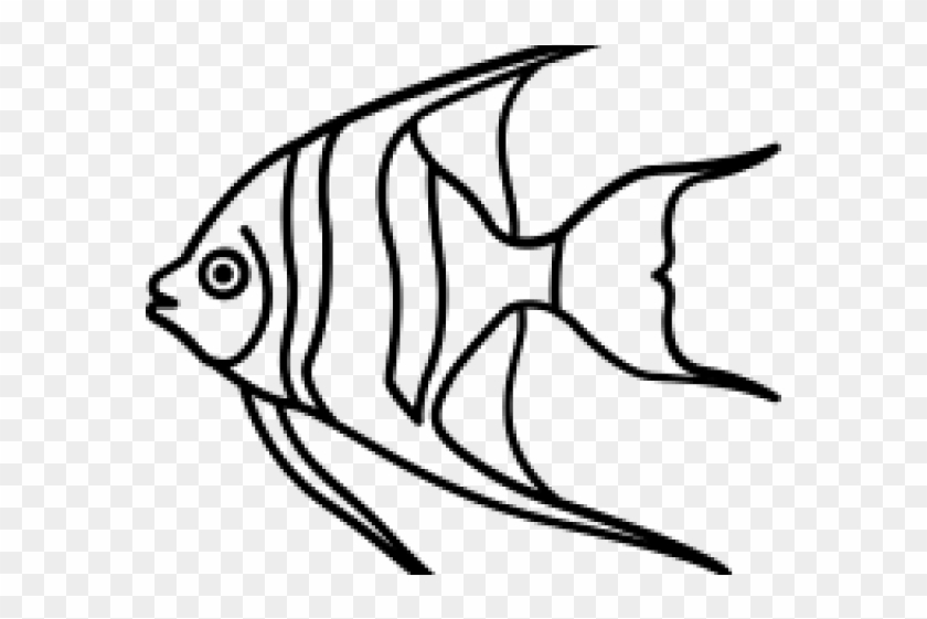 Drawn Angelfish Creative - Drawn Angelfish Creative #1528367