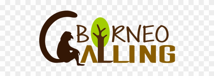 6 088 738 788 Info@borneocalling - 6 088 738 788 Info@borneocalling #1528449
