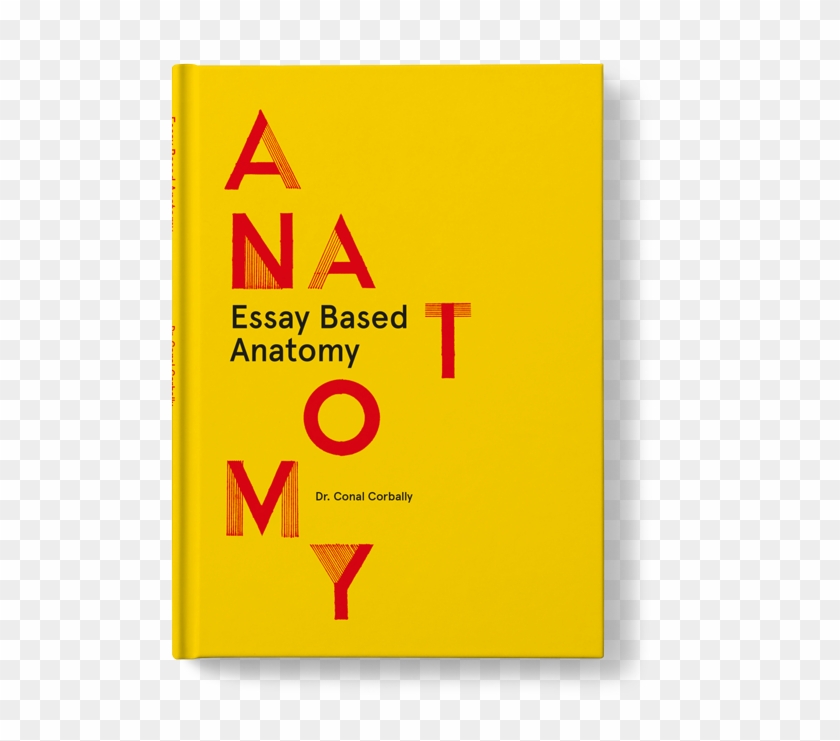 Anatomy Essay Questions Human Anatomy Essays Human - Anatomy Essay Questions Human Anatomy Essays Human #1528784