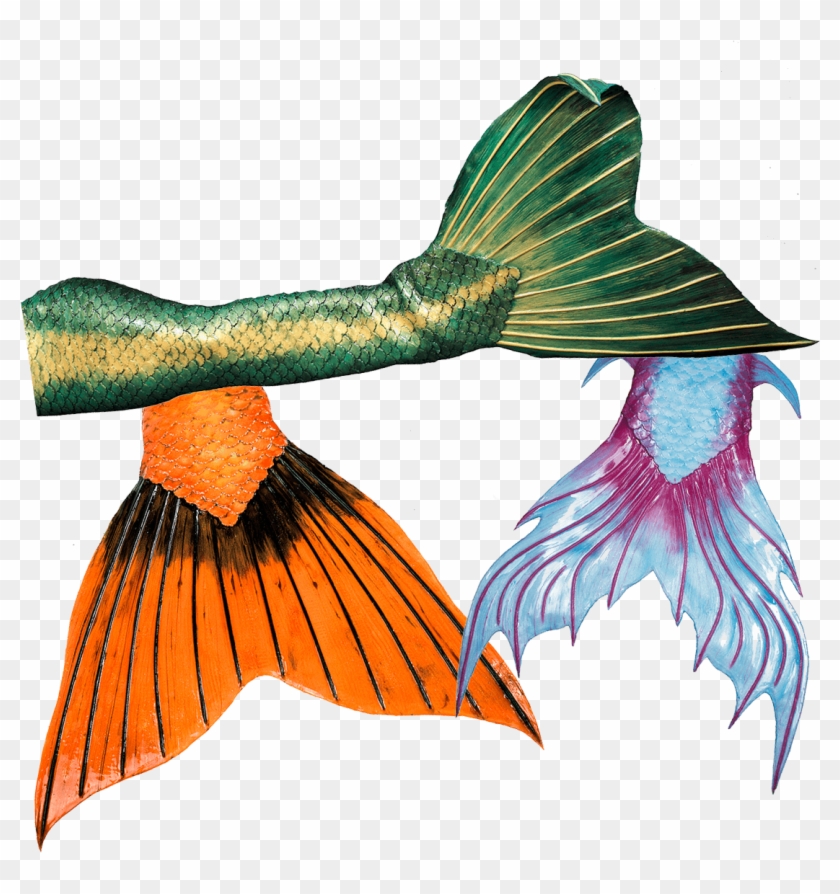 High Quality Silicone Mermaid Tails From Mermaid Kat - High Quality Silicone Mermaid Tails From Mermaid Kat #1529015