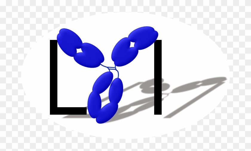 Other Links To Our Lab - Other Links To Our Lab #1529175