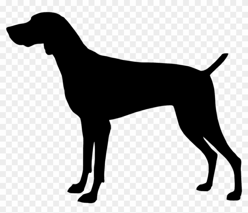 Clipart Dogs Gsp - Clipart Dogs Gsp #1529214