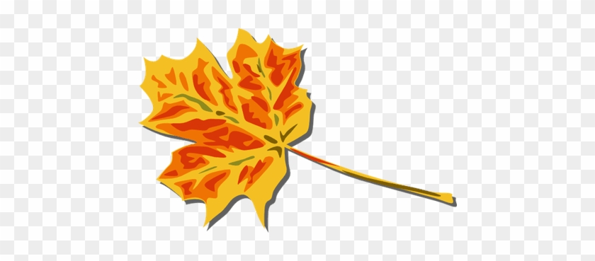 Picture Transparent Stock Clipart Fall Leaves - Picture Transparent Stock Clipart Fall Leaves #1529228