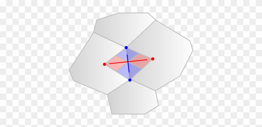 Diagram Showing Quadrilateral Where Noisy Edges Can - Diagram Showing Quadrilateral Where Noisy Edges Can #1529391