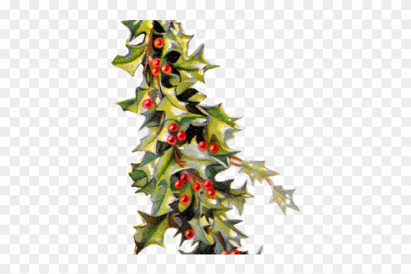 Holydays Clipart Holly - Holydays Clipart Holly #1529519