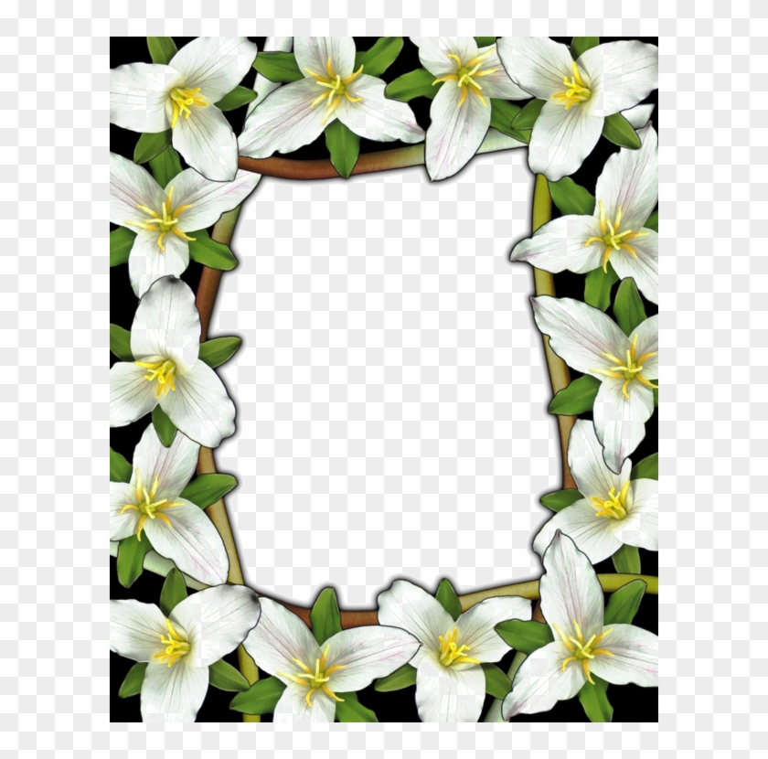 Frame Clipart, Framed Art, Clip Art, Frames, White - Frame Clipart, Framed Art, Clip Art, Frames, White #1529531