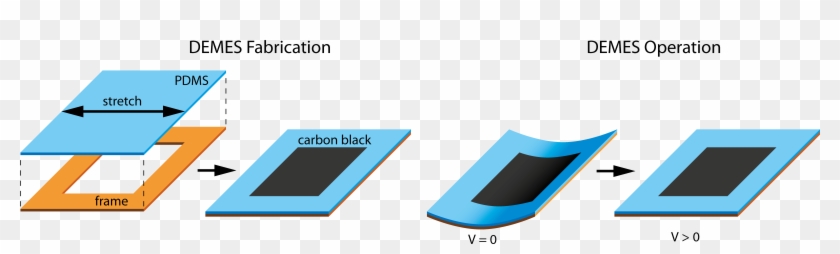 A Flexible Frame - A Flexible Frame #1529641