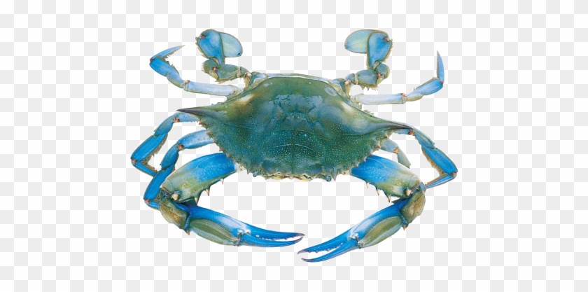 Clipart Info - Clipart Info #1529821