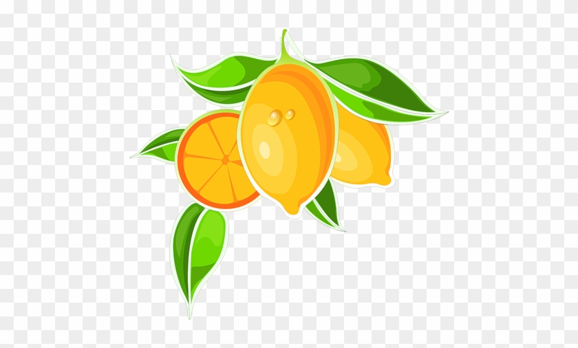 Svetlera Альбом «клипарт Png / Еда Клипарт / Фрукты» - Svetlera Альбом «клипарт Png / Еда Клипарт / Фрукты» #1529936