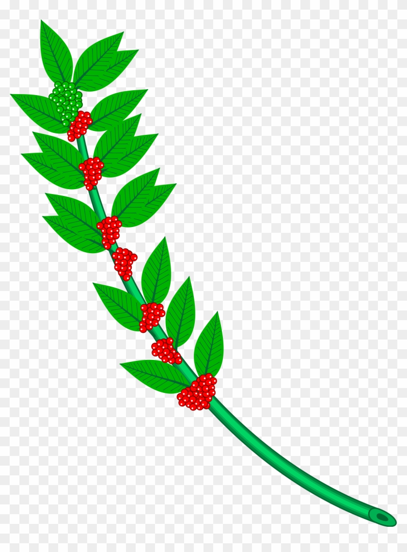 Clip Art Free Library Branch Svg Holly - Clip Art Free Library Branch Svg Holly #1530271